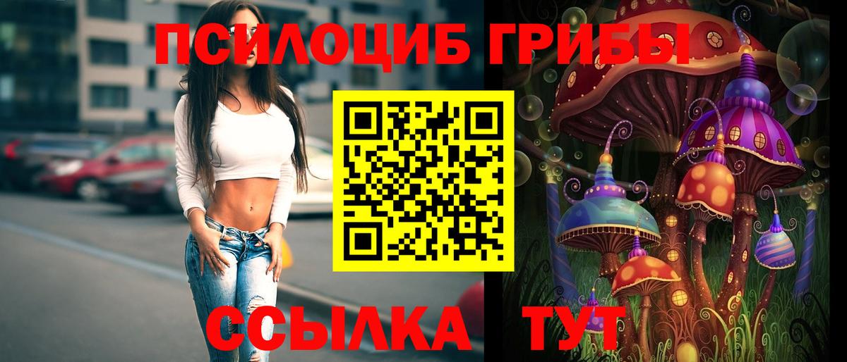 Галлюциногенные грибы прущие грибы  Вход с VPN  Новосибирск 